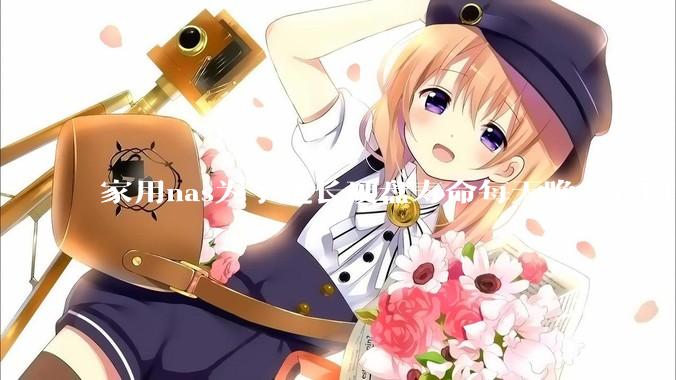 家用nas为了延长硬盘寿命每天晚上定时关机可以么？