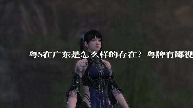 粤S在广东是怎么样的存在？粤牌有鄙视链吗？