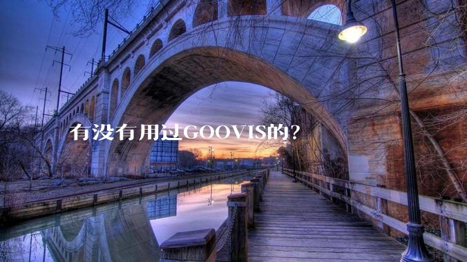 有没有用过GOOVIS的？