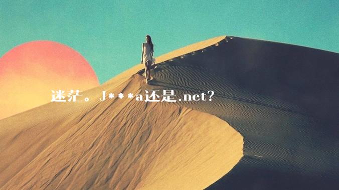 迷茫。J***a还是.net？