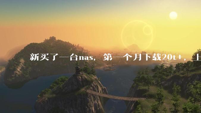 新买了一台nas，第一个月下载20t+，上传5+，不会被网警盯上吧?