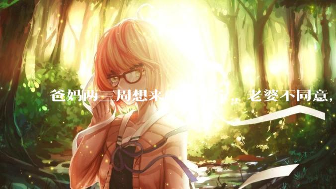 爸妈两三周想来看次宝宝，老婆不同意，怎么办？